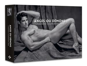 AGENDA - CALENDRIER ANGES OU DÉMONS 2026 | 9782755680324 | VANCE, DAVID