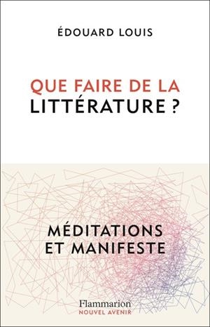 QUE FAIRE DE LA LITTÉRATURE ? - MÉDITATIONS ET MANIFESTE | 9782080431738 | LOUIS, EDOUARD