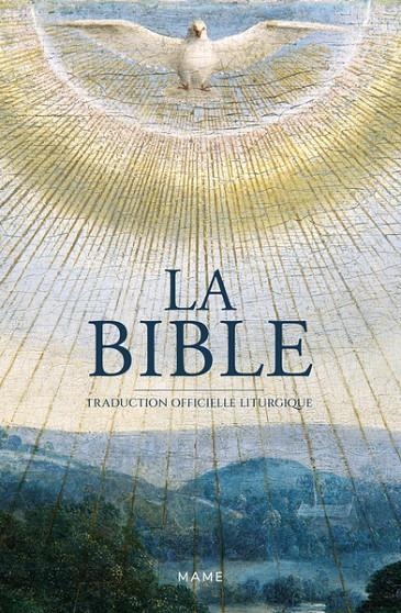 LA BIBLE BROCHÉE ILLUSTRÉE | 9782728935758 | AELF