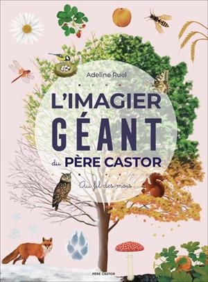 L'IMAGIER GÉANT DU PÈRE CASTOR - AU FIL DES MOIS | 9782080488282 | RUEL, ADELINE