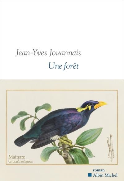 UNE FORÊT | 9782226499523 | JEAN-YVES JOUANNAIS