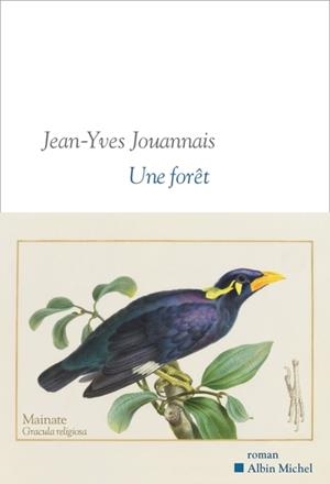 UNE FORÊT | 9782226499523 | JEAN-YVES JOUANNAIS