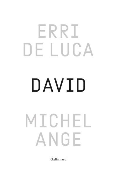 DAVID, MICHEL-ANGE | 9782073158291 | ERRI DE LUCA