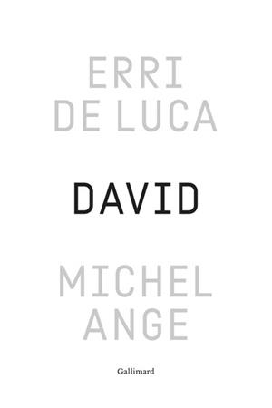 DAVID, MICHEL-ANGE | 9782073158291 | ERRI DE LUCA