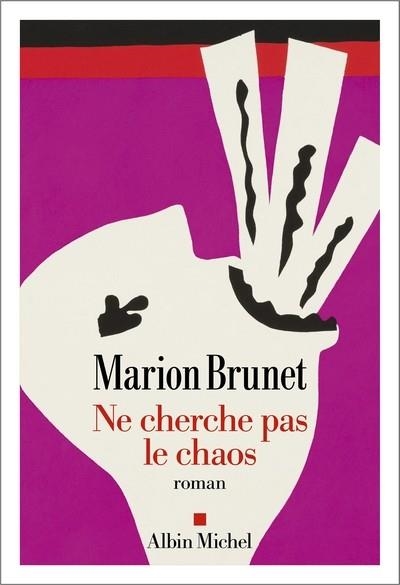 NE CHERCHE PAS LE CHAOS | 9782226471017 | MARION BRUNET