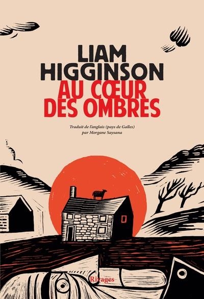 AU COEUR DES OMBRES | 9782743672249 | HIGGINSON, LIAM