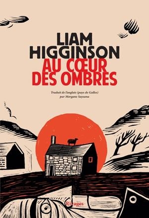 AU COEUR DES OMBRES | 9782743672249 | HIGGINSON, LIAM