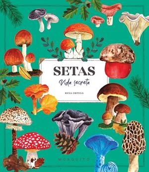 SETAS. VIDA SECRETA | 9788410417670 | ORTEGA, RENA