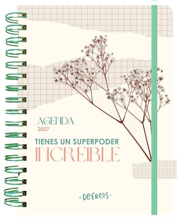 AGENDA ANUAL SEMANAL 2027 DEFREDS | 9788419434371 | DEFREDS